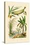 Bamboo, 1833-39-null-Stretched Canvas