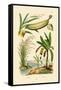 Bamboo, 1833-39-null-Framed Stretched Canvas