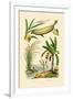 Bamboo, 1833-39-null-Framed Giclee Print