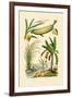 Bamboo, 1833-39-null-Framed Giclee Print