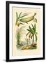 Bamboo, 1833-39-null-Framed Giclee Print