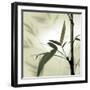 Bamboo #1-Alan Blaustein-Framed Photographic Print