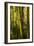 Bamboo Afternoon VII-Rita Crane-Framed Photographic Print