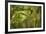 Bamboo Afternoon XII-Rita Crane-Framed Photographic Print