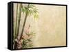 Bamboo and Plum Blossom on Old Antique Paper Texture-kenny001-Framed Stretched Canvas