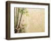 Bamboo and Plum Blossom on Old Antique Paper Texture-kenny001-Framed Art Print