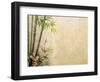 Bamboo and Plum Blossom on Old Antique Paper Texture-kenny001-Framed Art Print