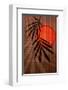 Bamboo and Red Sun I-Christine Zalewski-Framed Art Print
