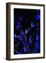 Bamboo at Night I-Karyn Millet-Framed Photographic Print