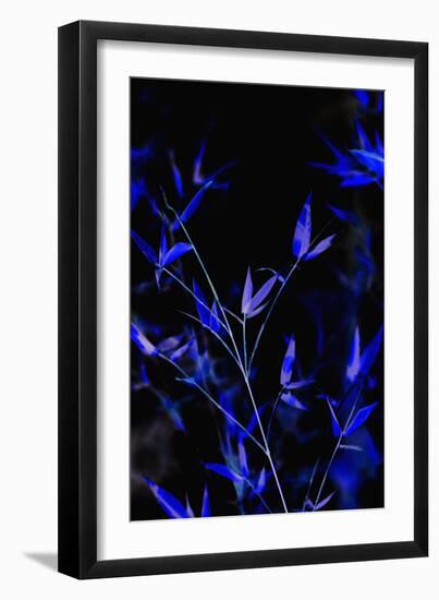 Bamboo at Night I-Karyn Millet-Framed Photographic Print