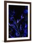 Bamboo at Night I-Karyn Millet-Framed Photographic Print