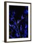 Bamboo at Night I-Karyn Millet-Framed Photographic Print