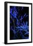 Bamboo at Night II-Karyn Millet-Framed Photographic Print