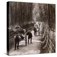 Bamboo Avenue, Looking South-West, Near Kiyomizu, Kyoto, Japan, 1904-Underwood & Underwood-Stretched Canvas