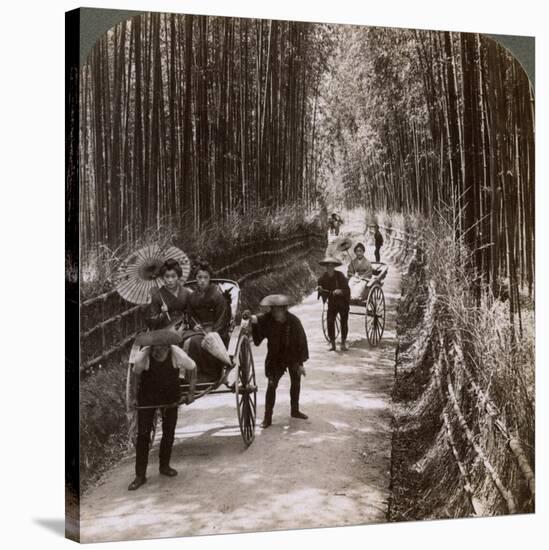 Bamboo Avenue, Looking South-West, Near Kiyomizu, Kyoto, Japan, 1904-Underwood & Underwood-Stretched Canvas