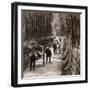 Bamboo Avenue, Looking South-West, Near Kiyomizu, Kyoto, Japan, 1904-Underwood & Underwood-Framed Photographic Print