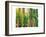 Bamboo Ballet-Maureen Love-Framed Photographic Print