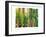 Bamboo Ballet-Maureen Love-Framed Photographic Print