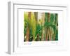 Bamboo Ballet-Maureen Love-Framed Photographic Print