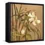 Bamboo Beauty I-Andrew Michaels-Framed Stretched Canvas