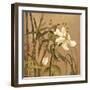 Bamboo Beauty I-Andrew Michaels-Framed Art Print