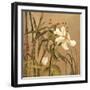 Bamboo Beauty I-Andrew Michaels-Framed Art Print