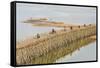 Bamboo Bridge Along the Mekong River Near the Capital City of Phnom Penh-Michael Nolan-Framed Stretched Canvas