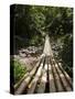 Bamboo Bridge at Dark View Falls, St. Vincent and the Grenadines, Windward Islands-Michael DeFreitas-Stretched Canvas