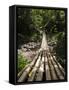 Bamboo Bridge at Dark View Falls, St. Vincent and the Grenadines, Windward Islands-Michael DeFreitas-Framed Stretched Canvas