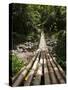 Bamboo Bridge at Dark View Falls, St. Vincent and the Grenadines, Windward Islands-Michael DeFreitas-Stretched Canvas