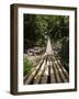 Bamboo Bridge at Dark View Falls, St. Vincent and the Grenadines, Windward Islands-Michael DeFreitas-Framed Photographic Print