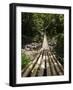 Bamboo Bridge at Dark View Falls, St. Vincent and the Grenadines, Windward Islands-Michael DeFreitas-Framed Photographic Print