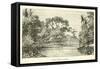 Bamboo Bridge in Borneo-null-Framed Stretched Canvas