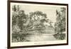 Bamboo Bridge in Borneo-null-Framed Giclee Print