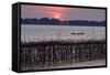 Bamboo Bridge of Koh Paeng Island on the Island River, Kompong Cham (Kampong Cham), Cambodia-Nathalie Cuvelier-Framed Stretched Canvas