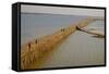 Bamboo Bridge of Koh Paeng Island on the Island River, Kompong Cham (Kampong Cham), Cambodia-Nathalie Cuvelier-Framed Stretched Canvas