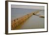 Bamboo Bridge of Koh Paeng Island on the Island River, Kompong Cham (Kampong Cham), Cambodia-Nathalie Cuvelier-Framed Photographic Print