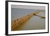 Bamboo Bridge of Koh Paeng Island on the Island River, Kompong Cham (Kampong Cham), Cambodia-Nathalie Cuvelier-Framed Photographic Print