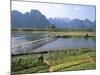 Bamboo Bridge, Vang Vieng, Laos, Indochina, Southeast Asia-Jane Sweeney-Mounted Photographic Print