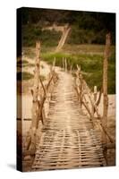 Bamboo Bridge-Erin Berzel-Stretched Canvas