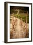 Bamboo Bridge-Erin Berzel-Framed Premium Photographic Print