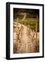 Bamboo Bridge-Erin Berzel-Framed Photographic Print