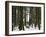 Bamboo Bush in Snow-null-Framed Photographic Print