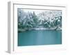 Bamboo Bush in Snow-null-Framed Photographic Print