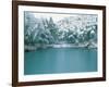 Bamboo Bush in Snow-null-Framed Photographic Print