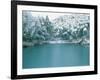 Bamboo Bush in Snow-null-Framed Photographic Print