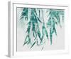 Bamboo Calm-Tania Bello-Framed Giclee Print