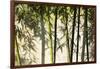 Bamboo casting shadows, Suzhou, Jiangsu Province, China-Keren Su-Framed Photographic Print