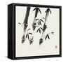 Bamboo Collection I-Nan Rae-Framed Stretched Canvas