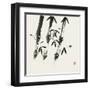 Bamboo Collection I-Nan Rae-Framed Art Print